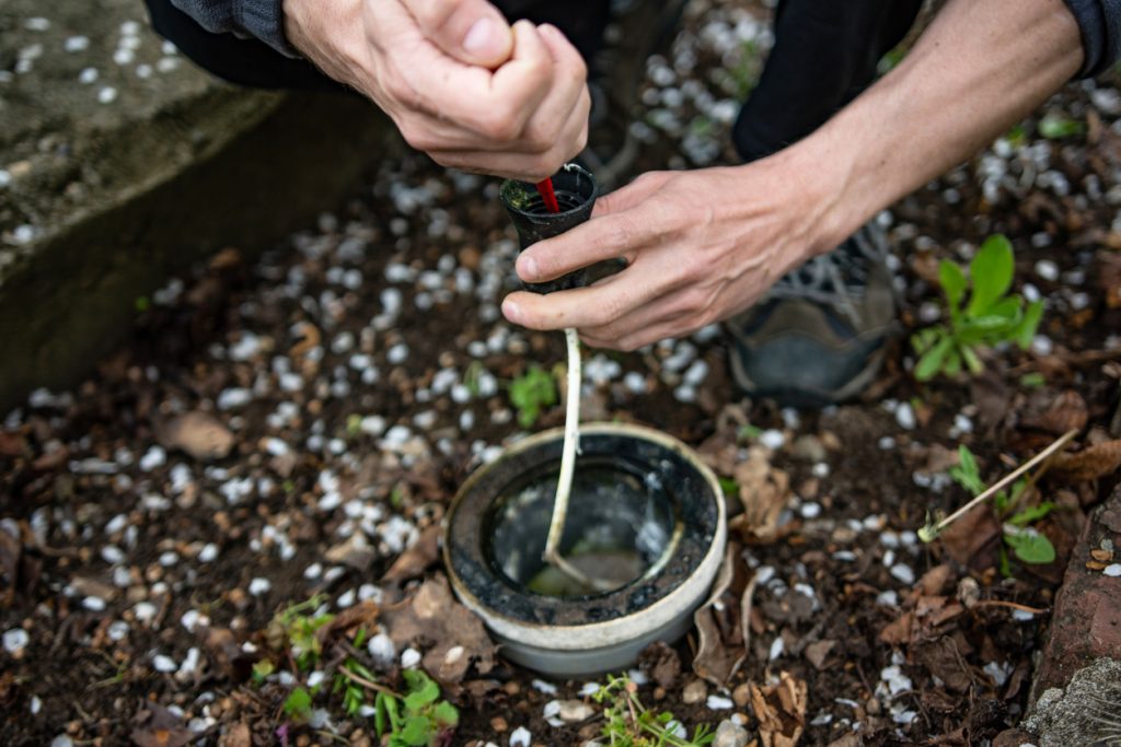 Professional Landscape Lighting Maintenance Services: What To Expect